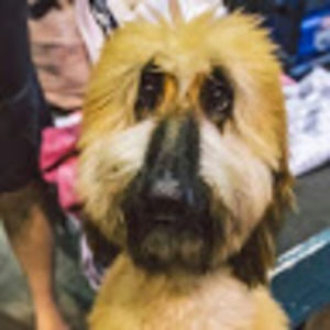 Meet your Posher, Patrick